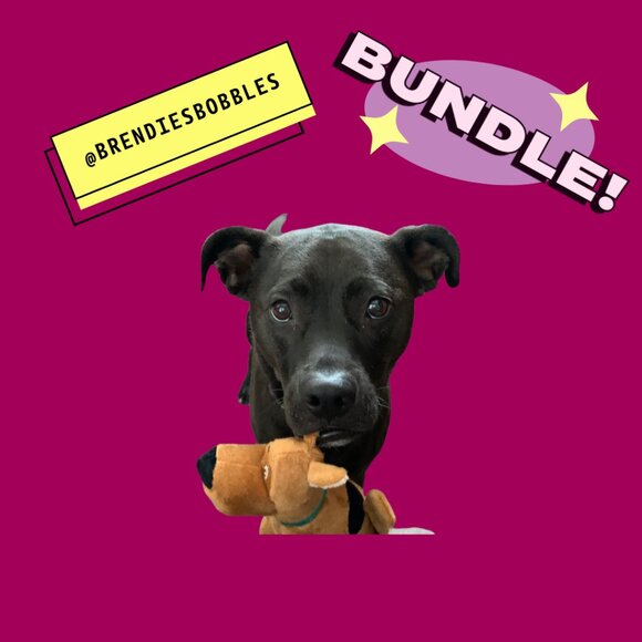 Jewelry - Tanya's Live Show Bundle